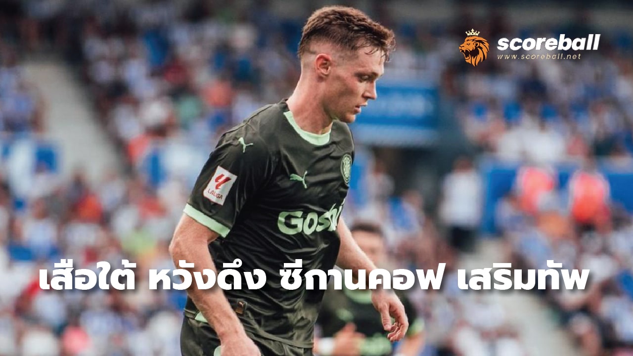 Southern Tigers hope to bring in Zigankov to strengthen the team.